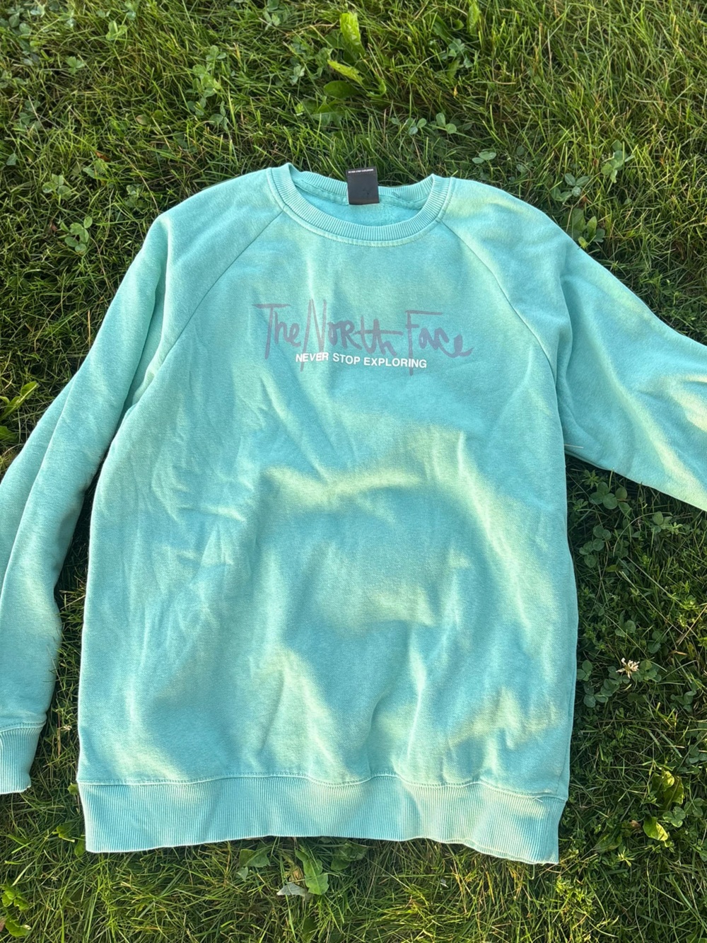 The North Face Outdoor Graphic Crewneck Sweatshirt Teal Mint Green Medium M
